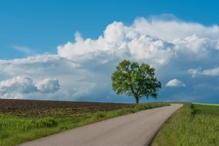 landscape-ge4bfa6dd0 640