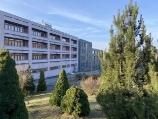 IMG 1764