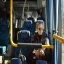 bus-2531578 640