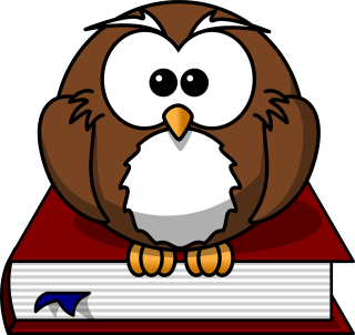 owl-47526 1280
