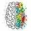 brain-2062057 640