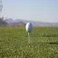 golf-880532 640