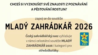 MZ