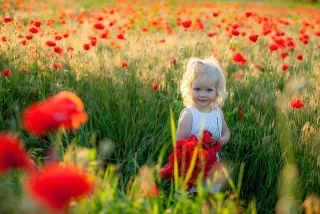 kid-g8688c24f9 640