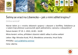 1pozvanky selmy